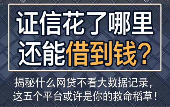 征信花了哪里还能借到钱？揭秘什么网贷不看大数据记录，这五个平台或许是你的救命稻草！