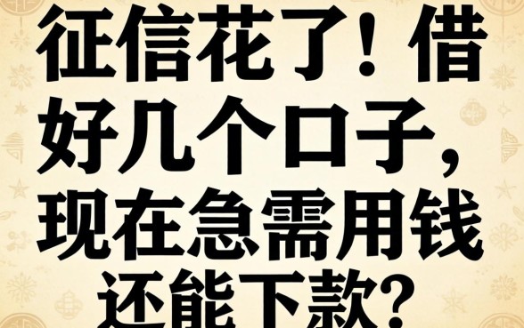 求助!征信花了借了好几个口子,现在急需用钱还能下款吗?