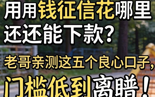 急用钱征信花哪里还能下款？老哥亲测这五个良心口子，门槛低到离谱！