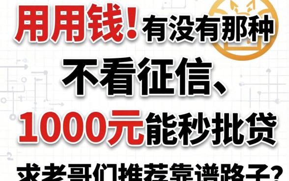 急用钱！有没有那种不看征信、1000元能秒批的小贷？求老哥们推荐靠谱路子！