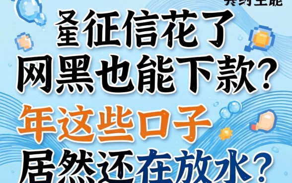 我征信花了网黑也能下款?2026年这些口子居然还在放水