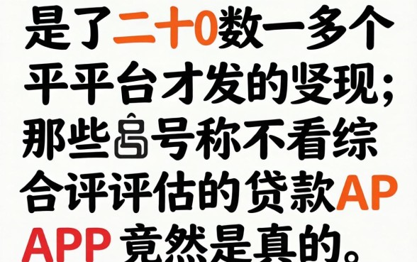 我试了二十多个平台才发现，那些号称不看综合评估的贷款APP竟然是真的