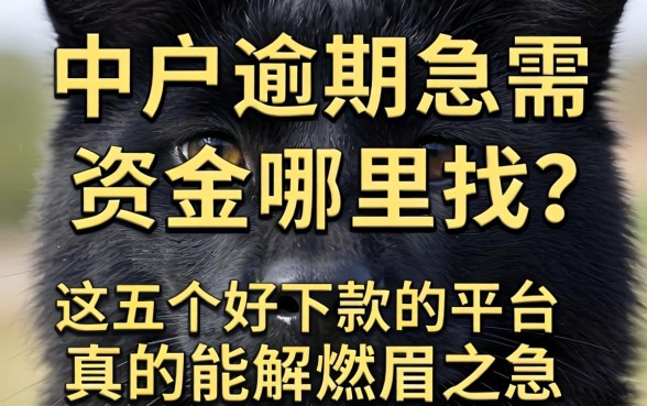 黑户逾期急需资金哪里找？这五个好下款的平台真的能解燃眉之急吗？