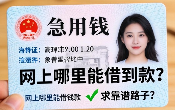只有临时身份证急用钱，网上哪里能借到款？求靠谱路子！