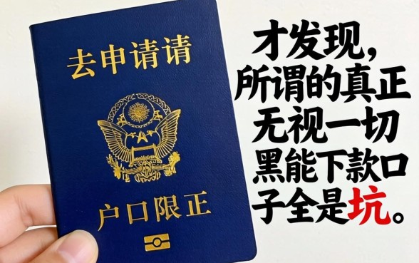 我拿着户口本去申请，才发现所谓的真正无视一切黑能下款口子全是坑