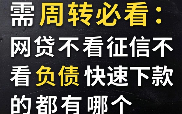 急需周转必看:网贷不看征信不看负债快速下款的都有哪个