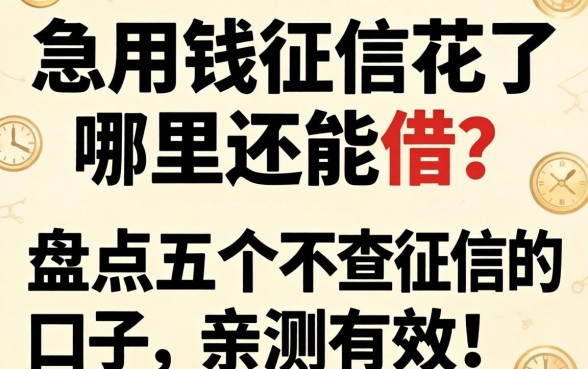 急用钱征信花了哪里还能借？盘点五个不查征信的口子，亲测有效！
