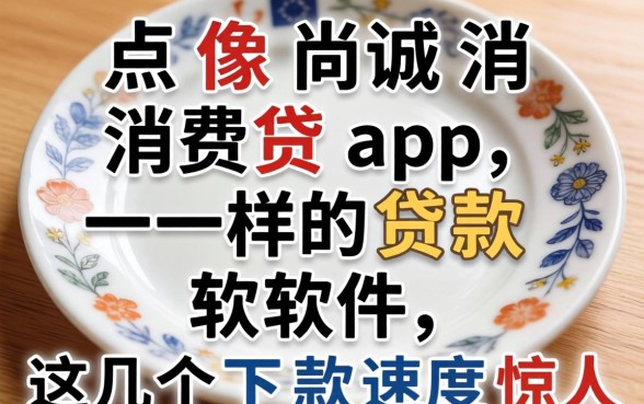 盘点像尚诚消费贷app一样的贷款软件，这几个下款速度惊人