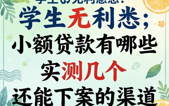 学生无利息小额贷款有哪些？实测几个还能下款的渠道