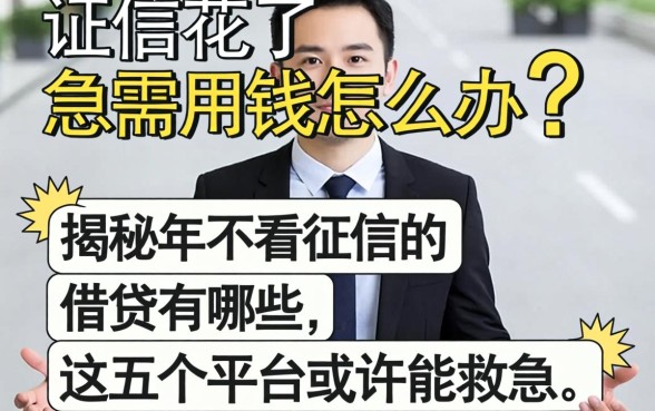 征信花了急需用钱怎么办？揭秘2026年不看征信的借贷有哪些，这五个平台或许能救急