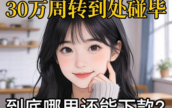 急需30万周转却到处碰壁，到底哪里还能下款？