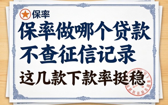 揭秘用保单做哪个贷款不查征信记录，这几款下款率挺稳