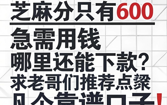 芝麻分只有600，急需用钱哪里还能下款？求老哥们推荐几个靠谱口子！