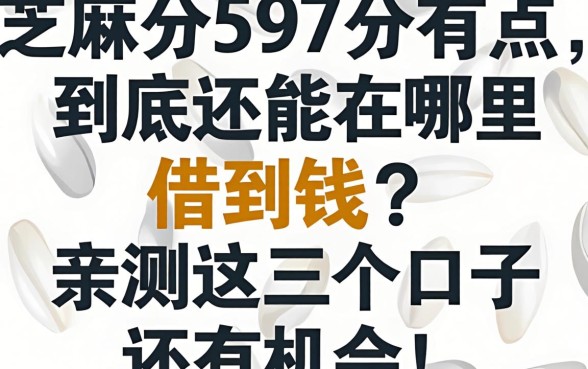 芝麻分597分有点尴尬，到底还能在哪里借到钱？亲测这几个口子还有机会！