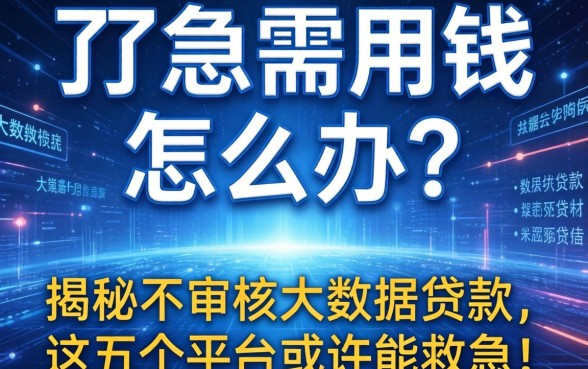 大数据花了急需用钱怎么办？揭秘不审核大数据的贷款，这五个平台或许能救急！