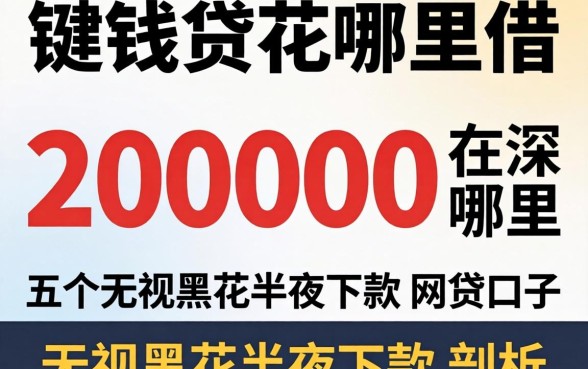 借钱200000在哪里借,深入剖析五个无视黑花半夜下款的网贷口子