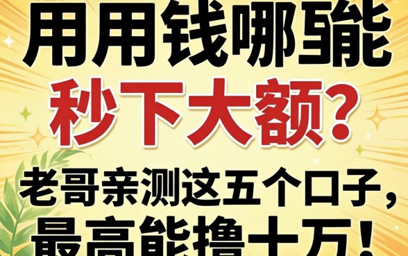 急用钱哪里能秒下大额？老哥亲测这五个口子，最高能撸十万！