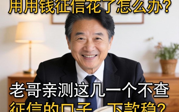 急用钱征信花了怎么办？老哥亲测这几个不查征信的口子，下款稳！