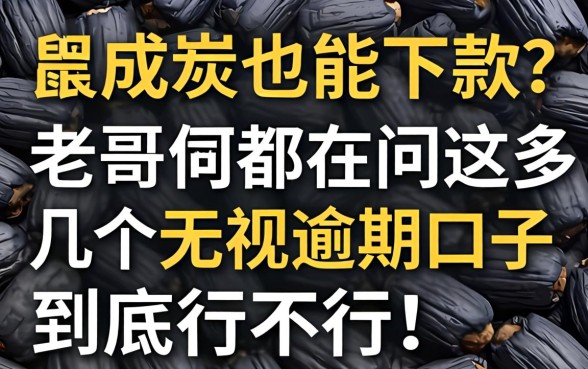 征信黑成炭也能下款？老哥们都在问这几个无视逾期口子到底行不行！