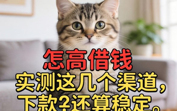 负债过高怎么借钱？实测这几个渠道下款率还算稳定