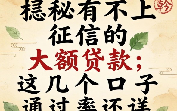 揭秘有不上征信的大额贷款，这几个口子通过率还行