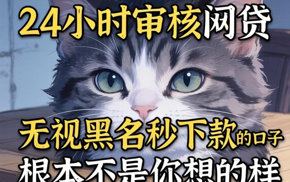 我试了所谓的24小时审核的网贷，发现无视黑户秒下款的口子根本不是你想的那样