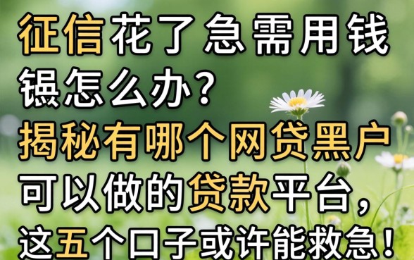 征信花了急需用钱怎么办？揭秘有哪个网贷黑户可以做的贷款平台，这五个口子或许能救急！