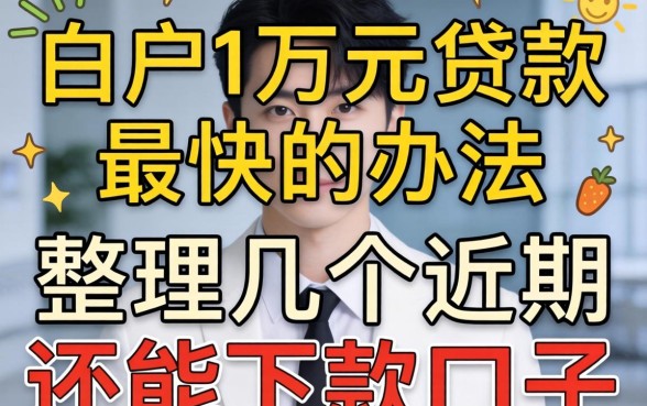 黑户1万元贷款最快的办法:整理几个近期还能下款的口子