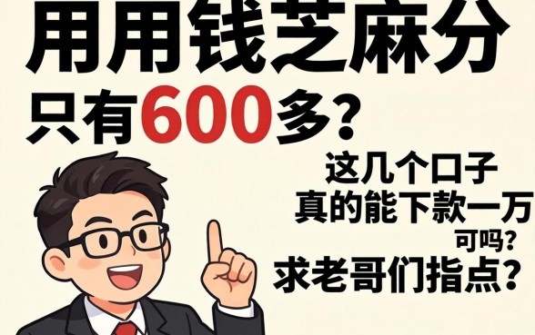 急用钱芝麻分只有600多，这几个口子真的能下款一万吗？求老哥们指点！