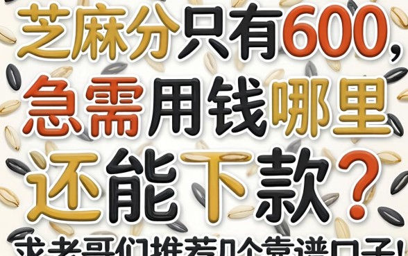 芝麻分只有600，急需用钱哪里还能下款？求老哥们推荐几个靠谱口子！