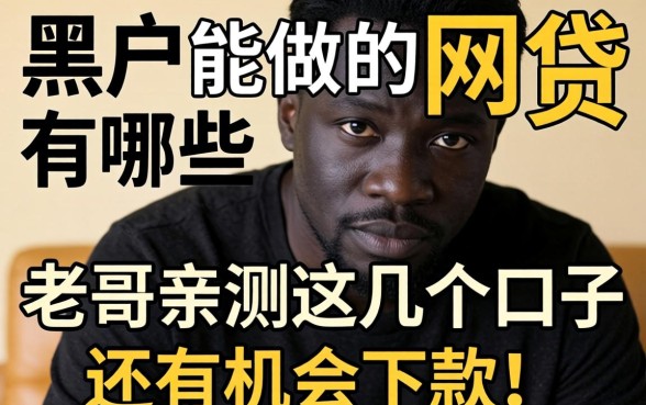 真正黑户能做的网贷有哪些？老哥亲测这几个口子还有机会下款！