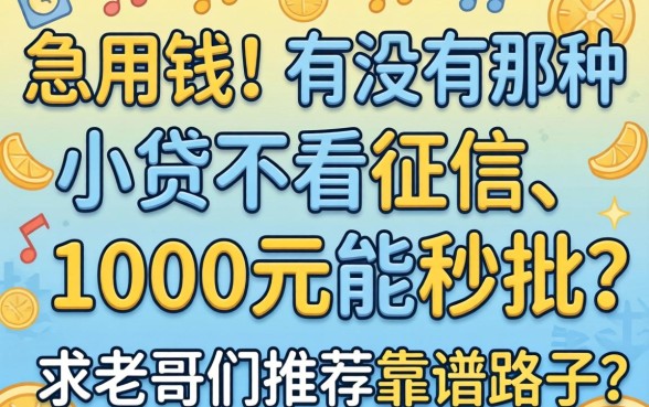 急用钱！有没有那种不看征信、1000元能秒批的小贷？求老哥们推荐靠谱路子！