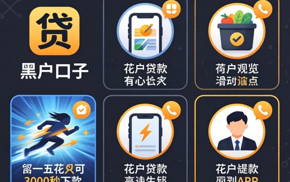 急速贷款的黑户口子有哪些,概览五个花户3000秒下款app