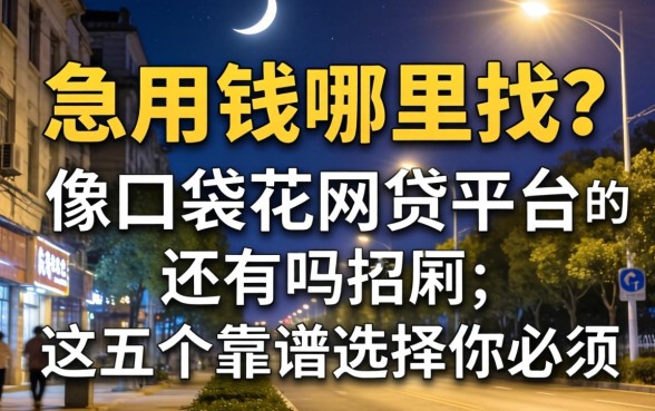 深夜急用钱哪里找？像口袋花的网贷平台还有吗？这五个靠谱选择你必须知道