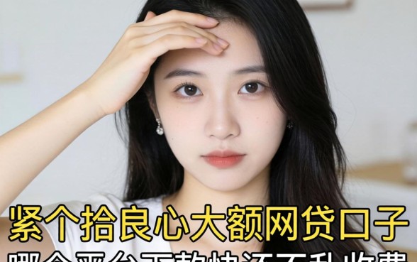 手头紧想找个良心的大额网贷口子，哪个平台下款快还不乱收费？