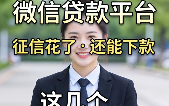 我翻遍了微信贷款平台，发现征信花了还能下款的竟然是这几个
