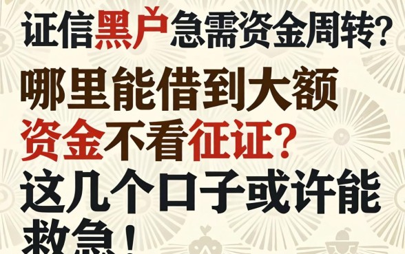 征信黑户急需资金周转？哪里能借到大额资金不看征信？这几个口子或许能救急！
