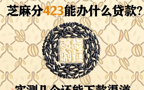 芝麻分423能办什么贷款？实测几个还能下款的渠道