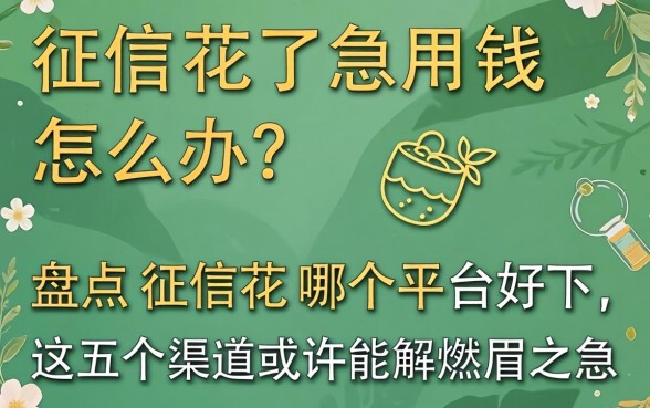 征信花了急用钱怎么办？盘点征信花哪个平台好下，这五个渠道或许能解燃眉之急