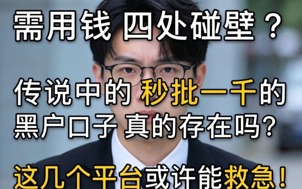 急需用钱四处碰壁？传说中的秒批一千的黑户口子真的存在吗？这几个平台或许能救急！