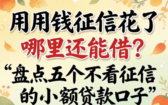 急用钱征信花了哪里还能借？盘点五个不看征信的小额贷款口子