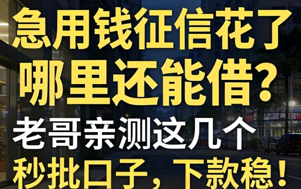 急用钱征信花了哪里还能借？老哥亲测这几个秒批口子，下款稳！