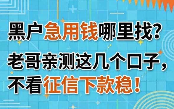 黑户急用钱哪里找？老哥亲测这几个口子，不看征信下款稳！