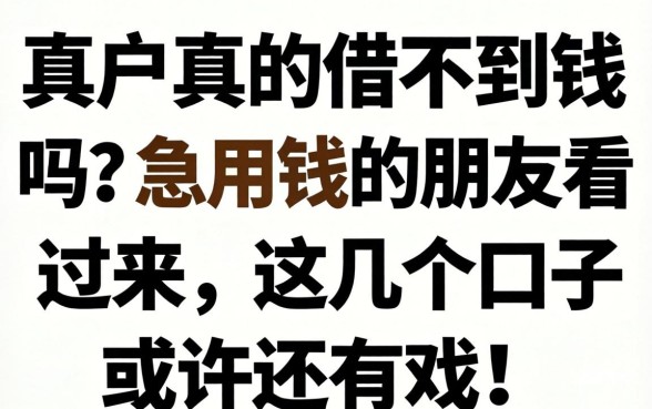 黑户真的借不到钱吗？急用钱的朋友看过来，这几个口子或许还有戏！