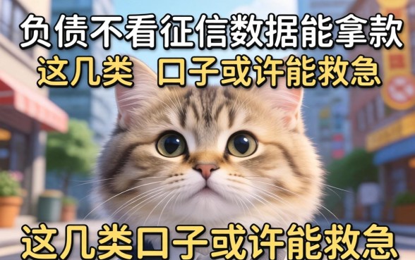 无视负债不看征信数据能拿款的，这几类口子或许能救急