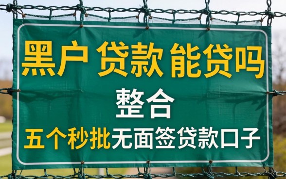 网上的黑户贷款能贷吗，整合五个秒批无面签贷款口子
