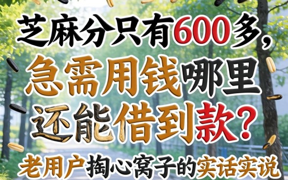 芝麻分只有600多，急需用钱哪里还能借到款？老用户掏心窝子的实话实说