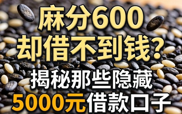 芝麻分600却借不到钱？揭秘那些隐藏的5000元借款口子