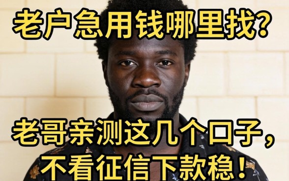 黑户急用钱哪里找？老哥亲测这几个口子，不看征信下款稳！