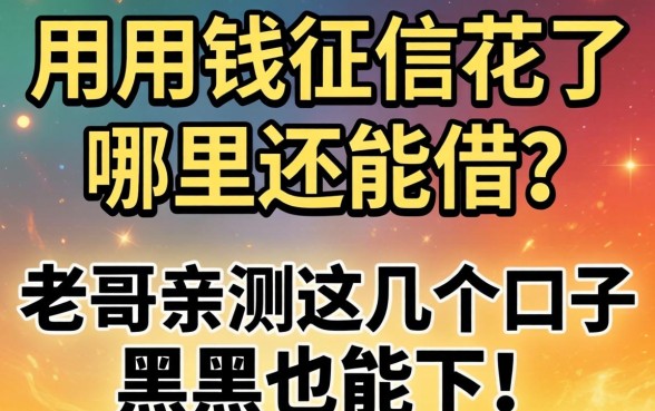 急用钱征信花了哪里还能借?老哥亲测这几个口子黑户也能下!